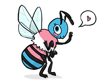 Illustration of a bee facing right with a speech bubble featuring a small heart. The bee features stripes in the colors of the trans flag. Illustration commissioned by transgender author, educator, and speaker Genny Beemyn and designed by Jayke Bouche jaykebouche.com.